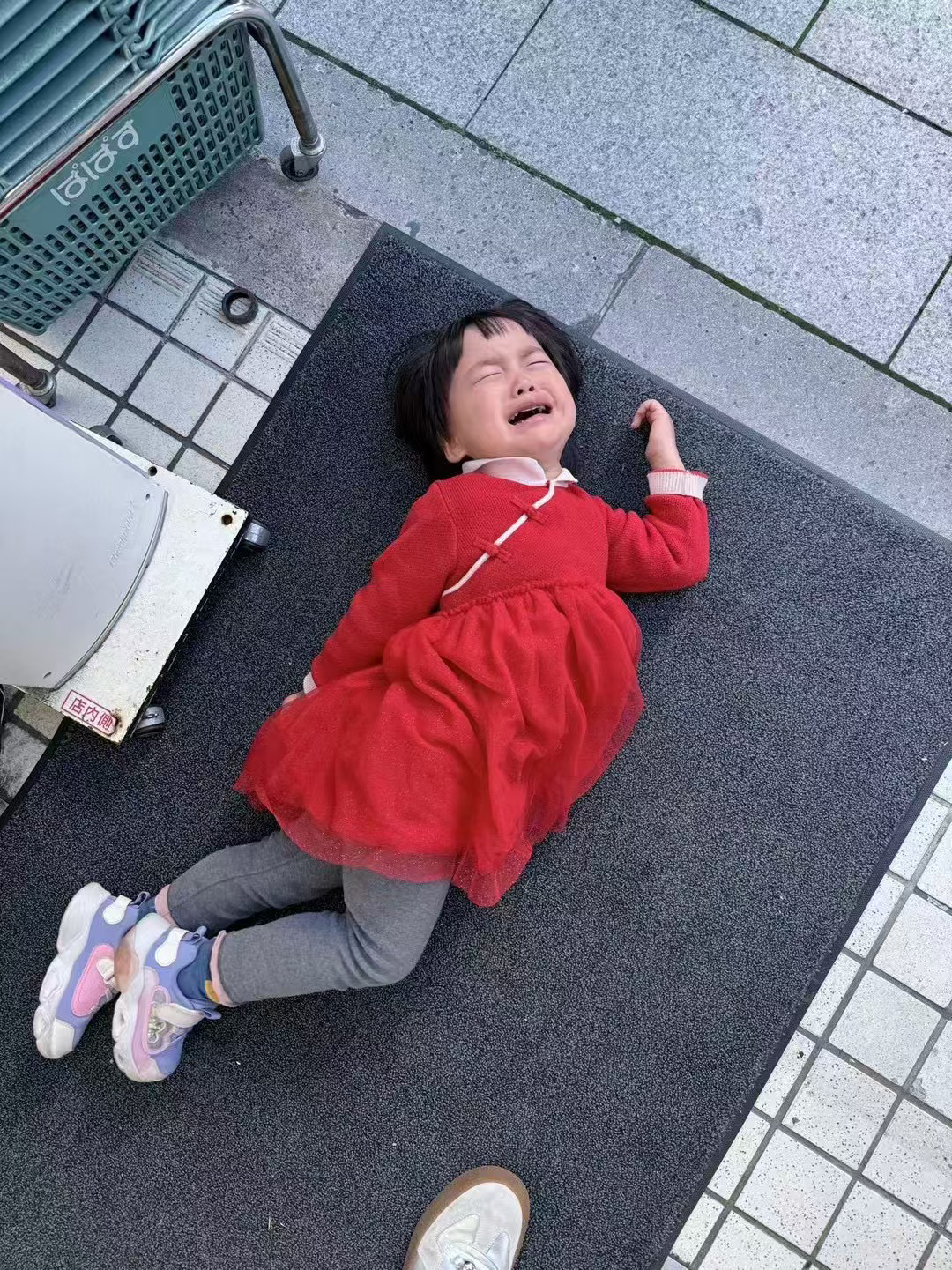 image-20241218184816560