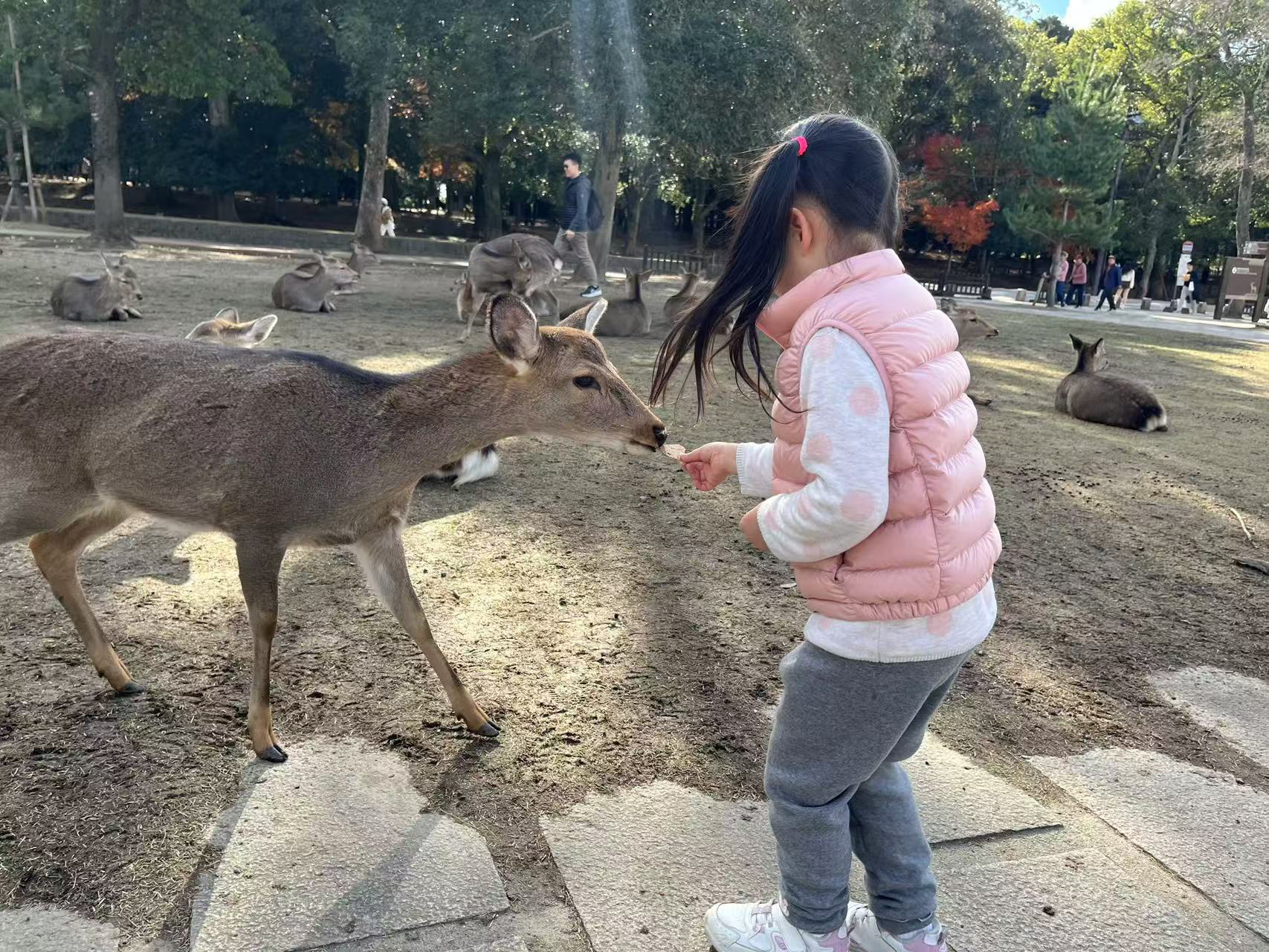 image-20241218185148949